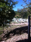 There are a lot of pictures of the graveyard